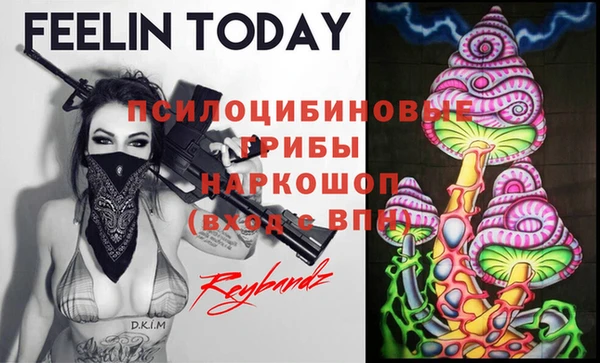 прущие крисы Коряжма