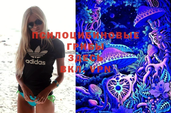 прущие крисы Коряжма