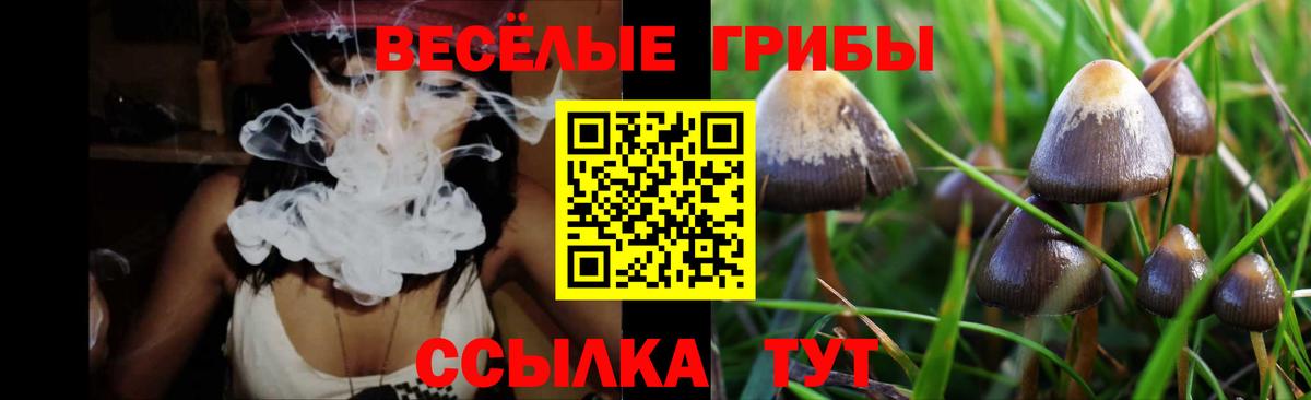 Галлюциногенные грибы MAGIC MUSHROOMS Тейково